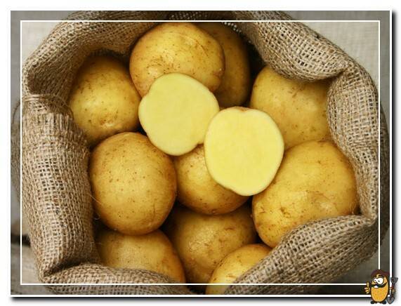 Kartofel-Adretta