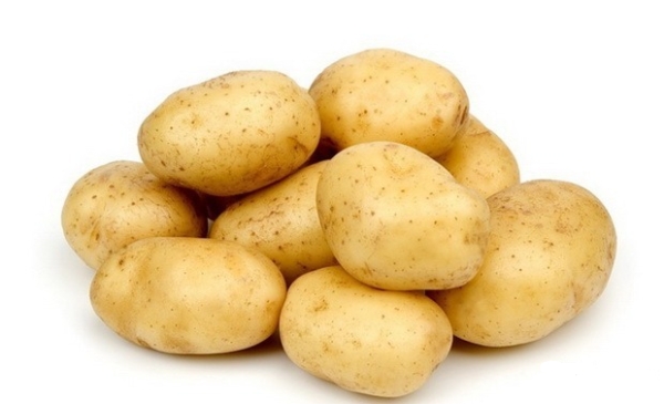 Gulliver potatoes: description and characteristics, reviews