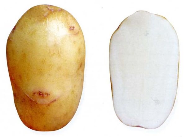 Fruitful potatoes