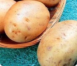 Ballada potatoes are mid-season table varieties