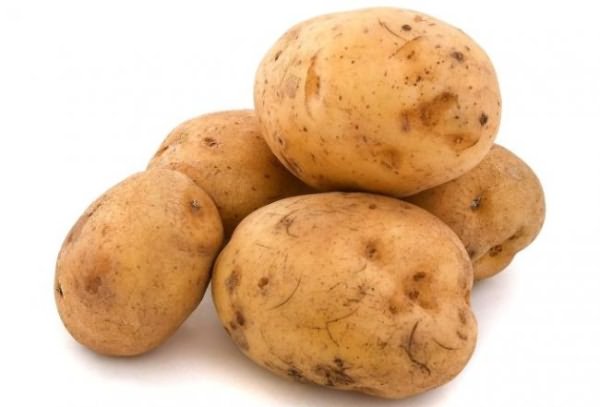 The Ballada potato is one of the most productive
