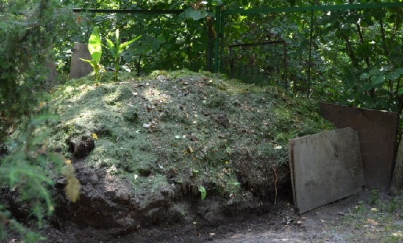 photo of homemade compost heap