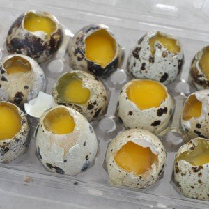 Who are quail eggs useful for?