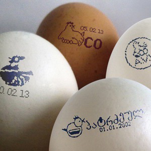 What the markings on the eggs say