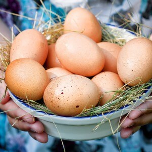 Benefits of chicken eggs for the body