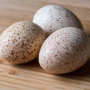 Description and nutritional value of turkey eggs