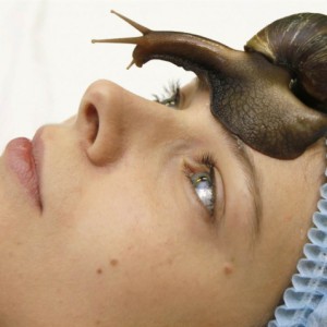 Snails in cosmetology