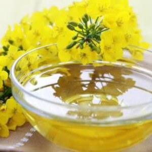Useful properties of camelina oil
