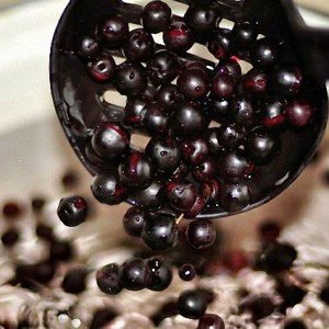 Benefits of chokeberry for digestion