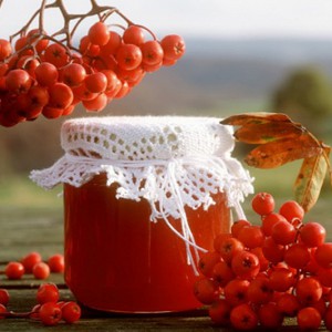 Jam from rowanberry