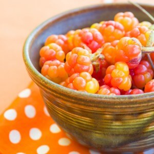 Benefits of cloudberries for digestion