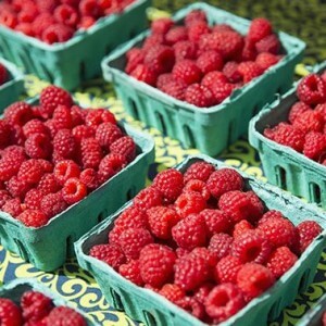 How to choose and store raspberries