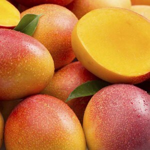 Botanical characteristics of mango