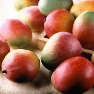 Anticancer properties of mango