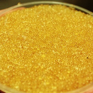 Pike caviar salting
