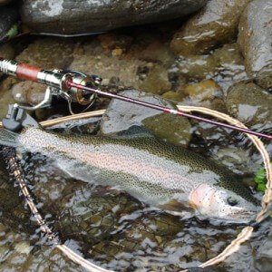 Trout fishing methods