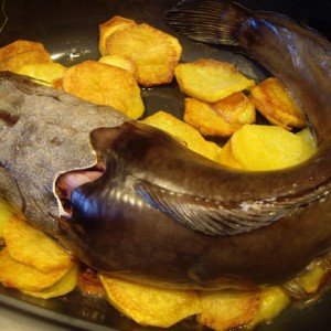 How to cook catfish
