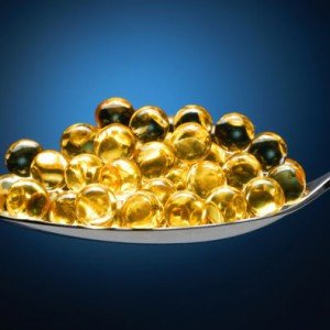 Catfish - a source of fish oil