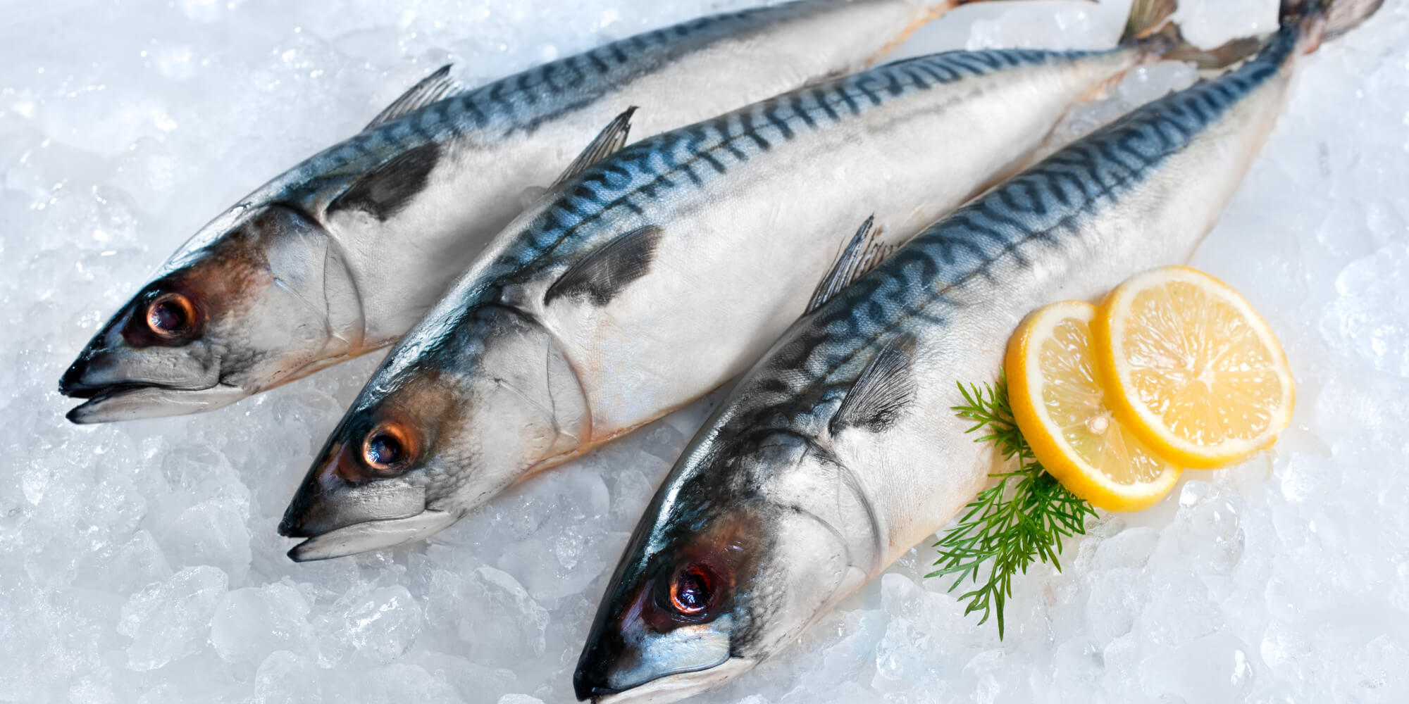 鲭鱼的健康益处 卡路里的益处和危害 Farmer Online