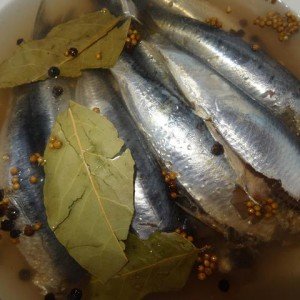 Pickled sardine