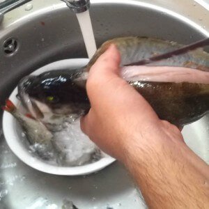 How to clean a perch