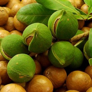 Australian nuts