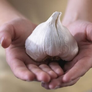 The benefits of garlic for the body