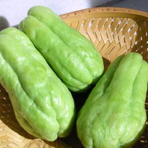 Mexican cucumber fruit
