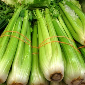 How to choose celery