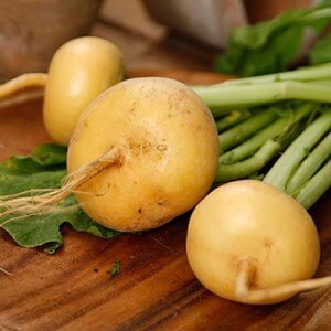 The use of turnips in cooking