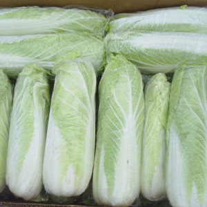 Storing Chinese cabbage
