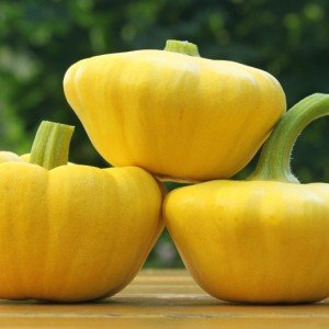 Benefits of squash for the body