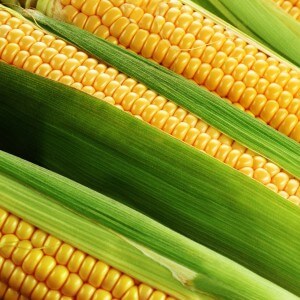 The benefits of corn