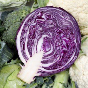 Sectional red cabbage