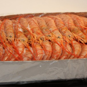 How to choose langoustines