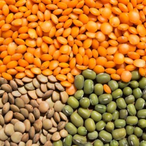 Benefits of lentils for the body