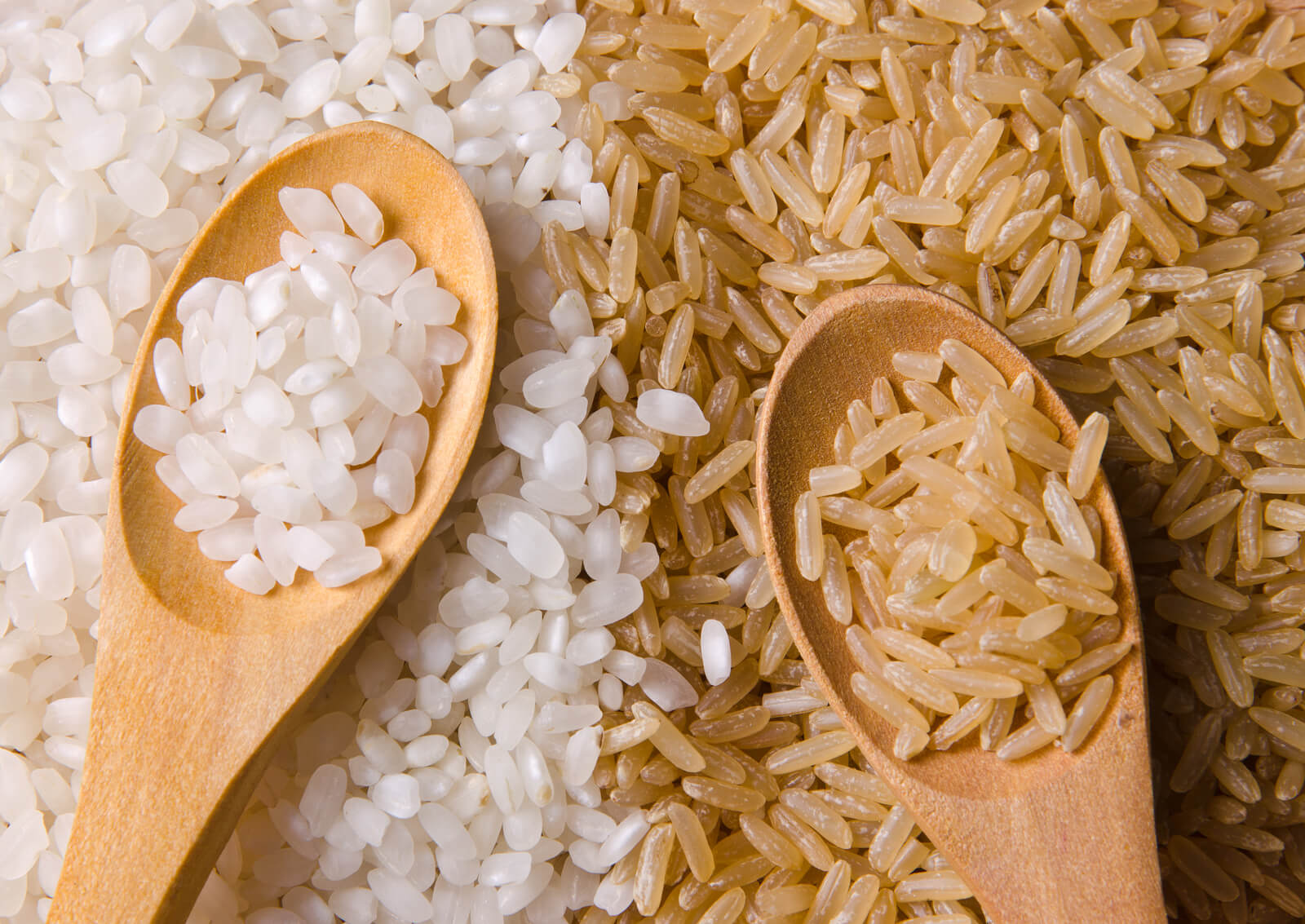White rice versus brown