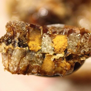 The composition of propolis