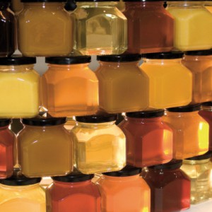 Varieties and types of honey