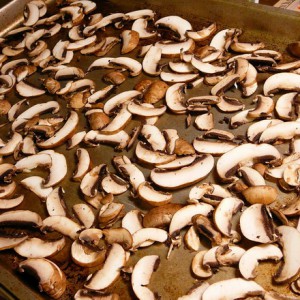 Selection and storage of russula