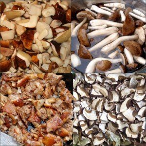 Use of boletus in the kitchen