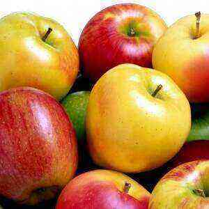 Apple health benefits, benefits and harms of calories