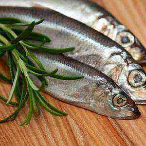 Baltic herring health benefits, benefits and harms of calories