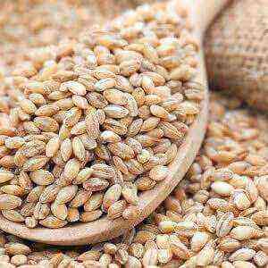 Barley barley health benefits and harms of calories