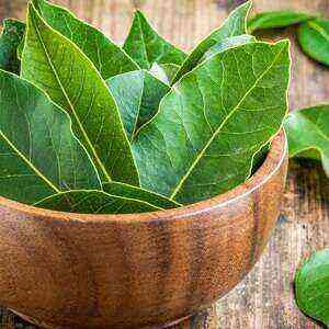 Bay leaf health benefits, benefits and harms of calories