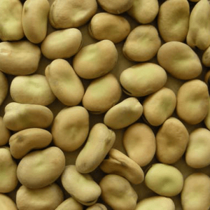 Beans health benefits, benefits and harms of calories