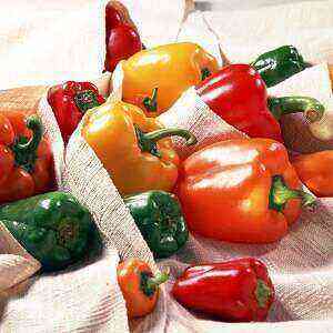 Bell peppers health benefits, benefits and harms of calories
