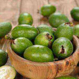 Benefits of feijoa fruit health benefits, benefits and harms of calories