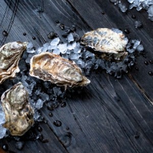 Sea oysters