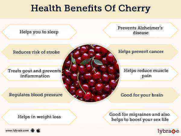 Bird cherry benefits and harms